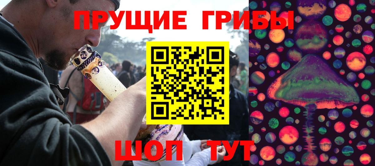 Галлюциногенные грибы MAGIC MUSHROOMS  Вход с VPN  Рославль  Псилоцибиновые грибы GOLDEN TEACHER 